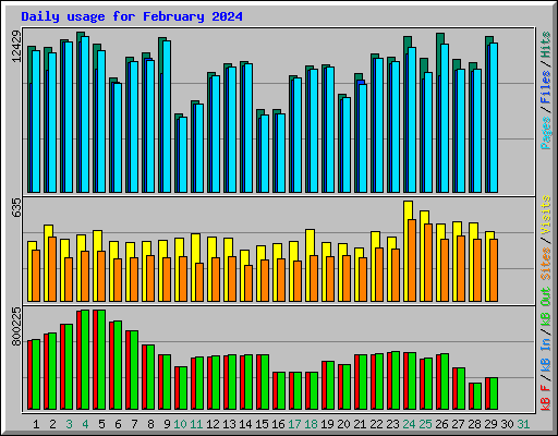 Daily usage for February 2024