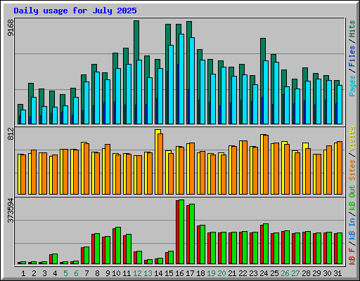 Daily usage for July 2025