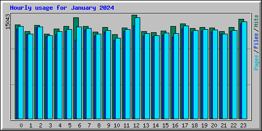 Hourly usage for January 2024