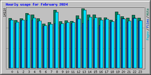 Hourly usage for February 2024