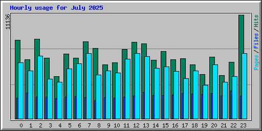 Hourly usage for July 2025