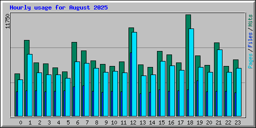 Hourly usage for August 2025