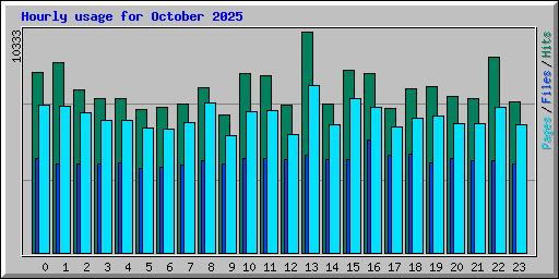 Hourly usage for October 2025